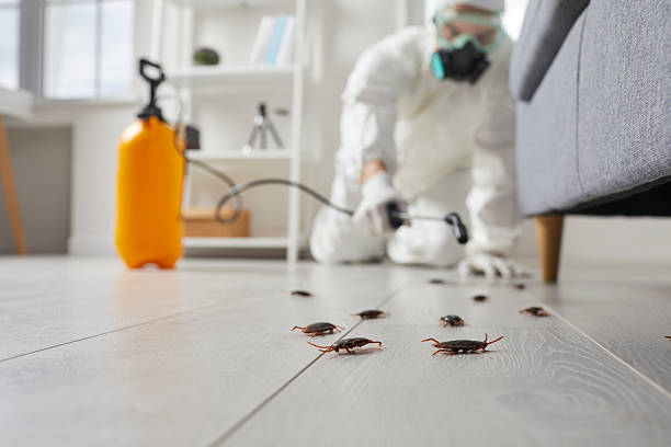 Post-Treatment Bed Bug Interceptor Monitoring in Butte