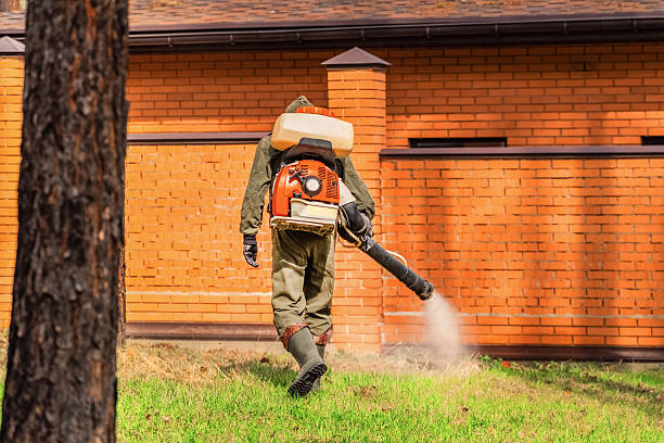 Bed Bug Clearance Verification and Documentation in Butte